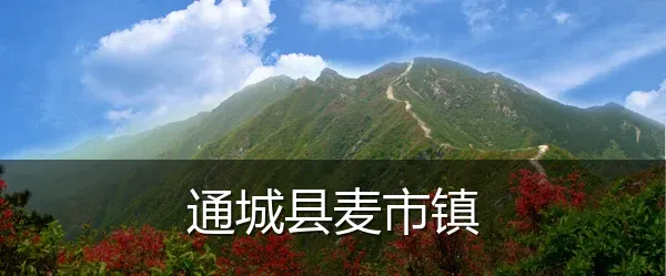 通城县麦市镇