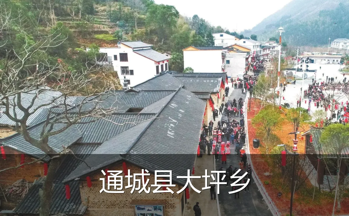 通城县大坪乡
