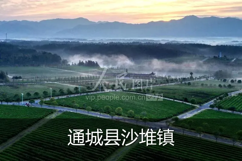 通城县沙堆镇