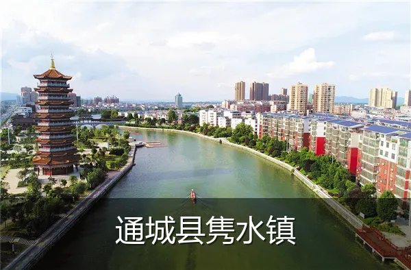 通城县隽水镇