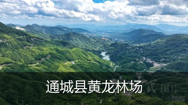 通城县黄龙林场